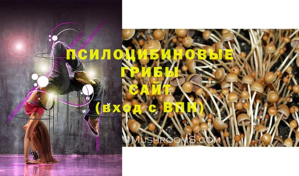 МДМА Заволжск
