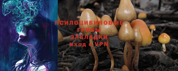 ALPHA PVP Заводоуковск