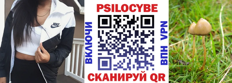 Псилоцибиновые грибы мицелий  Купить где  Дальнегорск 