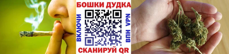 Бошки марихуана индика Купить Дальнегорск